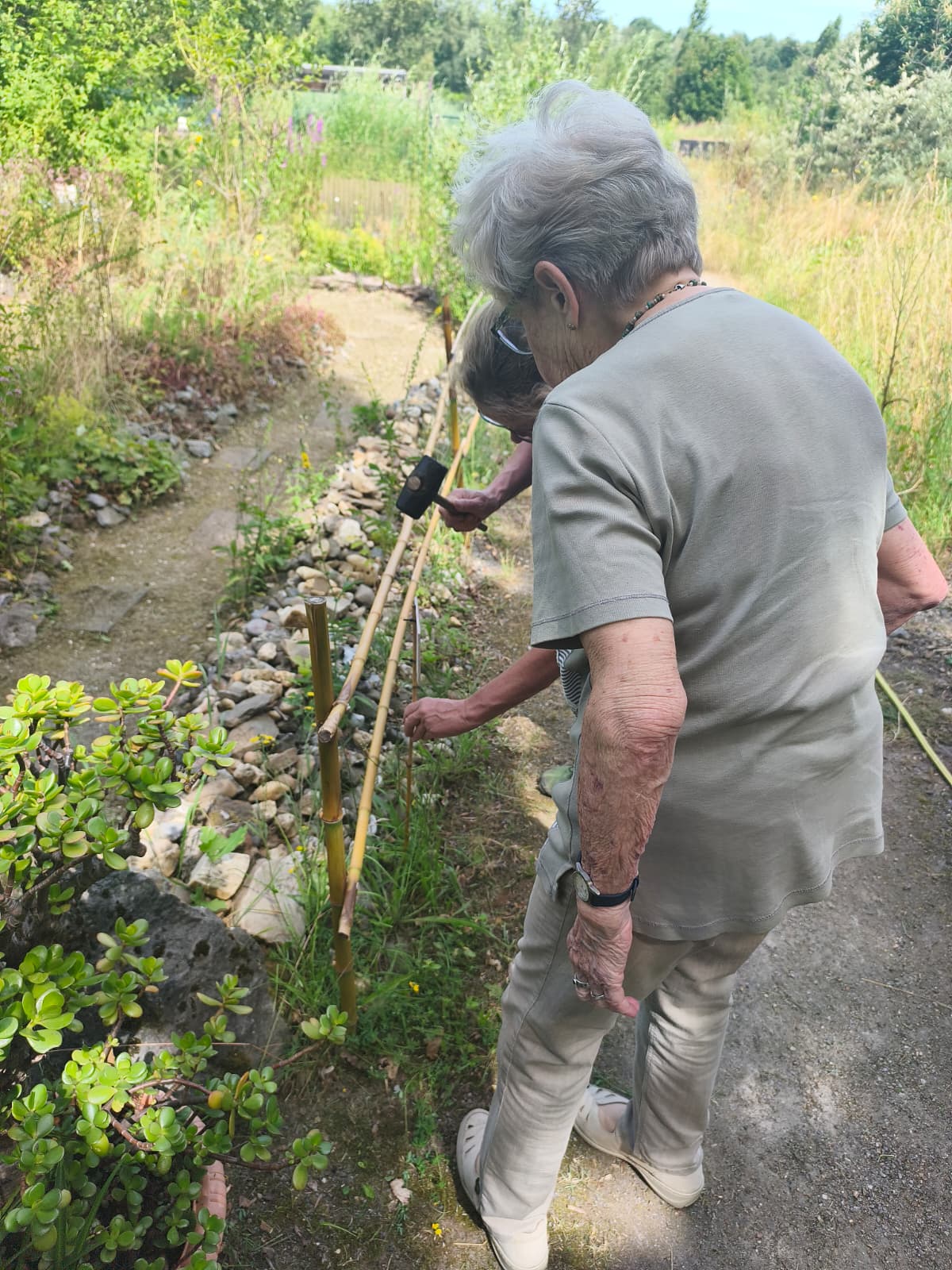 senta-erkrath-natur-entdecken-bruchhausen
