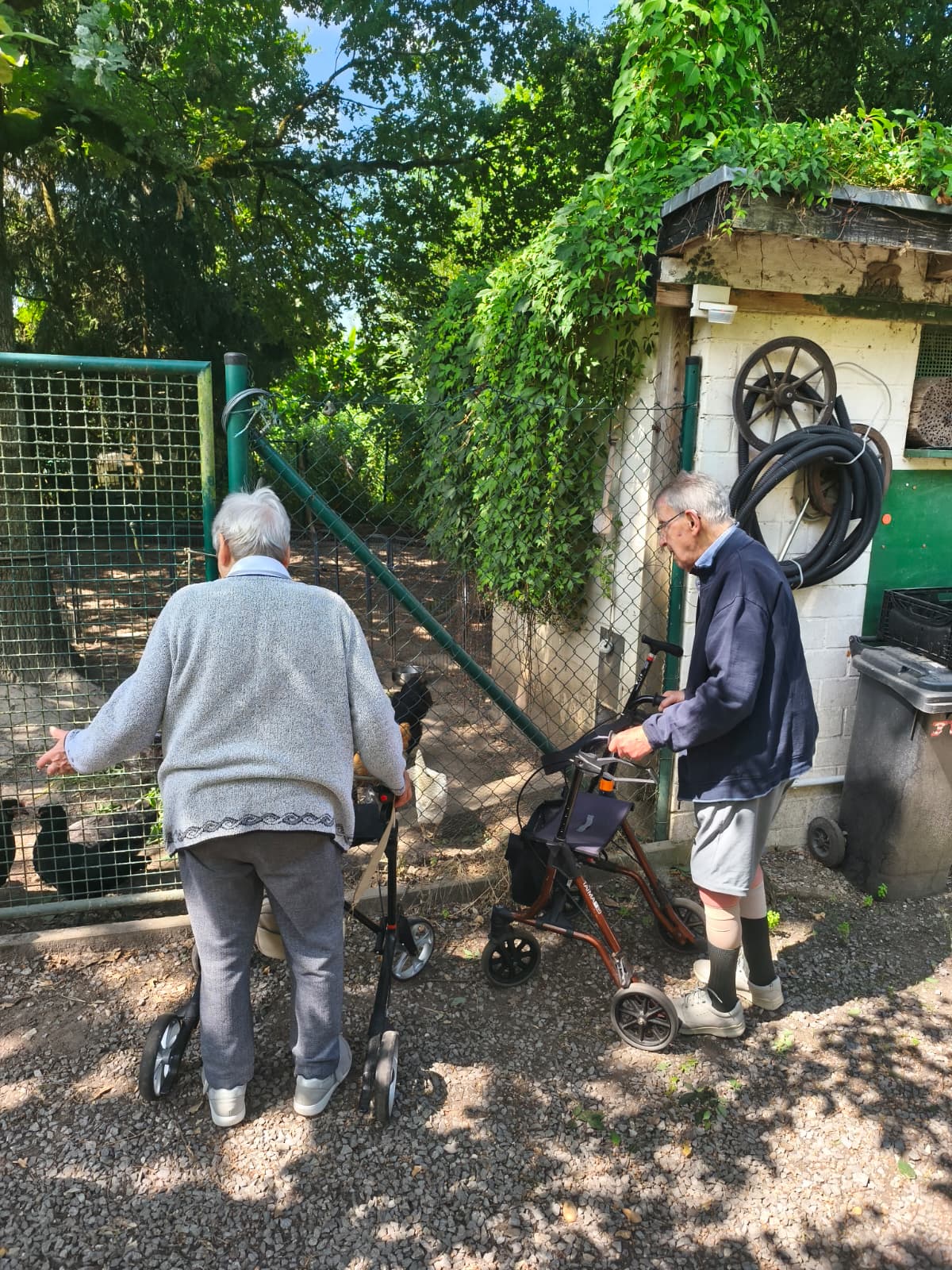 senta-gaeste-tierbeobachtung-bruchhausen