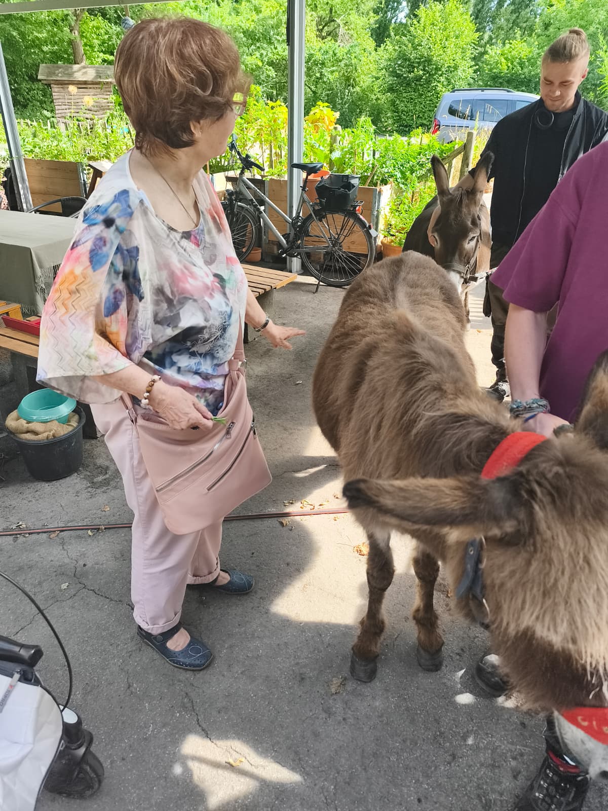 senta-tagespflege-besuch-naturschutzzentrum-esel